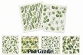 Six botanical leaf Swedish dishcloth designs with Pro Grade branding